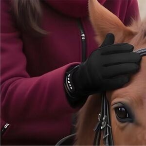 FitsT4 NWT Winter Riding Gloves Small